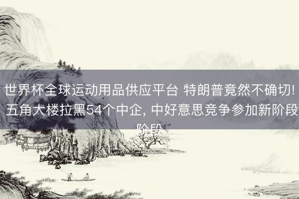 世界杯全球運動用品供應平臺 特朗普竟然不確切! 五角大樓拉黑54個中企， 中好意思競爭參加新階段