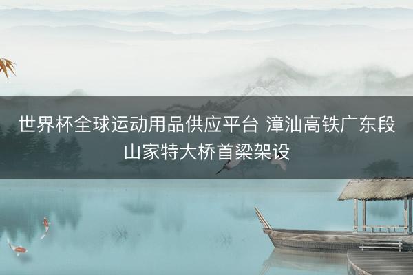 世界杯全球運(yùn)動(dòng)用品供應(yīng)平臺(tái) 漳汕高鐵廣東段山家特大橋首梁架設(shè)