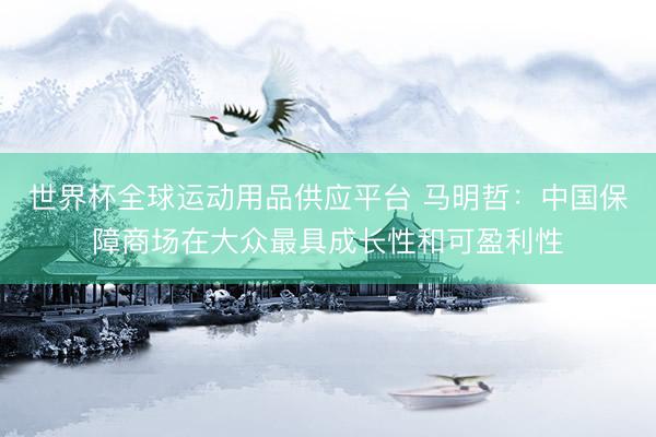 世界杯全球運動用品供應(yīng)平臺 馬明哲：中國保障商場在大眾最具成長性和可盈利性