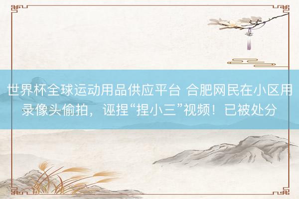 世界杯全球運動用品供應平臺 合肥網民在小區用錄像頭偷拍，誣捏“捏小三”視頻！已被處分