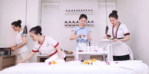 規范職業標準，助力行業提升——美容師國家職業等級認定教材技術和服務標準拍攝工作圓滿完成